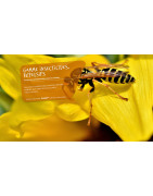 SOLUTECH PRO (86) : Rodonticides, Insecticides Professionnels et Dissuasifs Poitiers