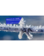 Solutech Pro : Dégivrant, Antigel & Déneigeant PRO Vienne (86)