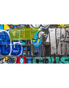 SOLUTECH PRO : Décapants Peintures & Anti-Graffitis Pro - la Vienne