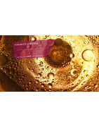 SOLUTECH PRO : Fontaines Dégraissage & Liquides Nettoyants Pro - la Vienne